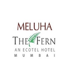 Meluha The Fern
